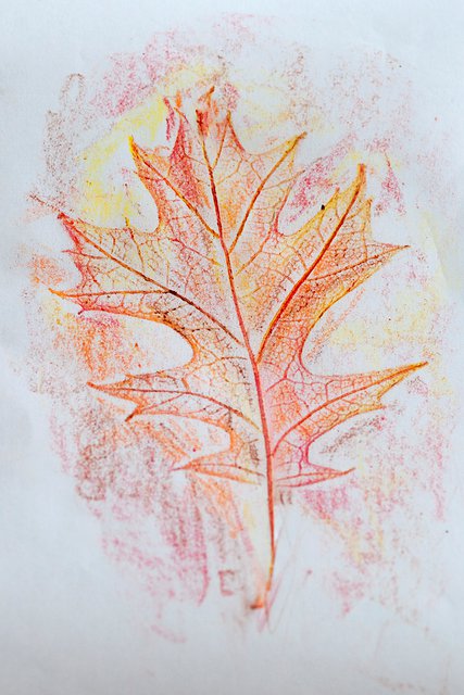 19 Leaf Activities For Kids In The Fall | Fun With Kids