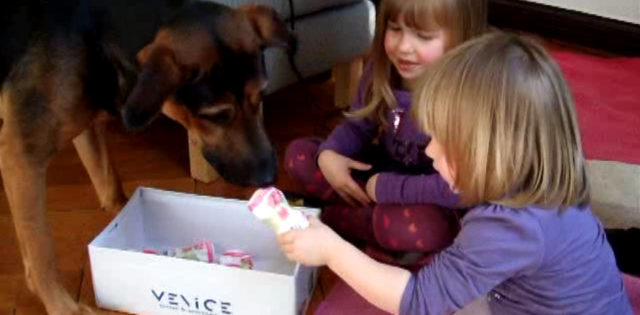Dogs Can Teach Your Kids Responsibility