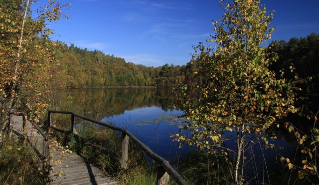 müritz