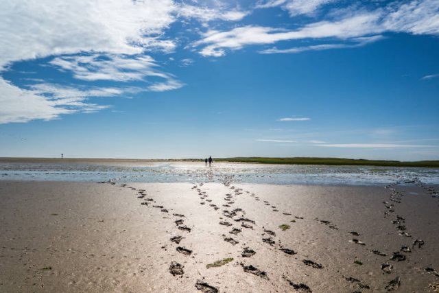 wattenmeer